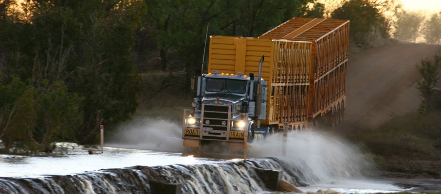 Livestock transport